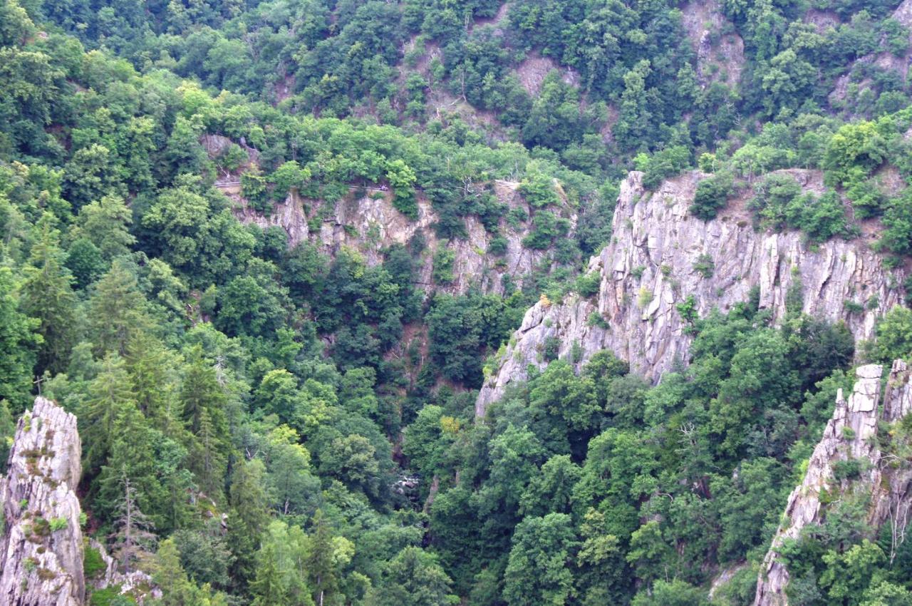 Feriendomizil Schlossblick Blankenburg  Exteriör bild