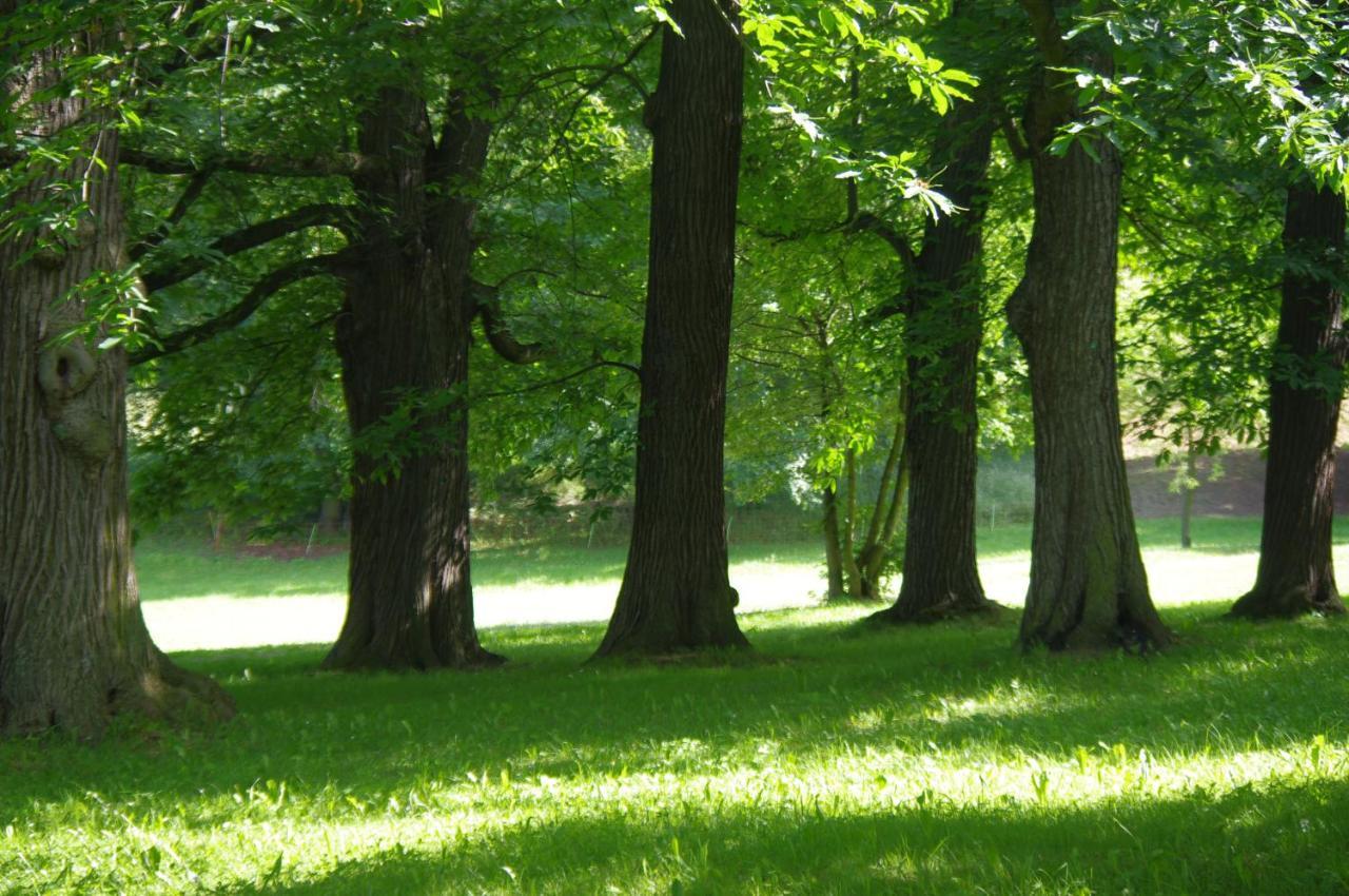 Feriendomizil Schlossblick Blankenburg  Exteriör bild